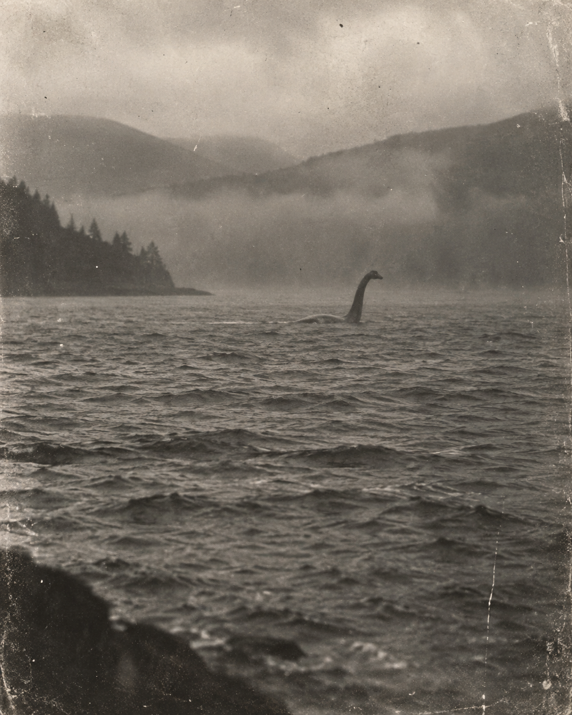 Aged photograph of a long-necked creature surfacing in a Scottish loch